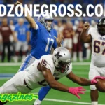 Redzonegross.com