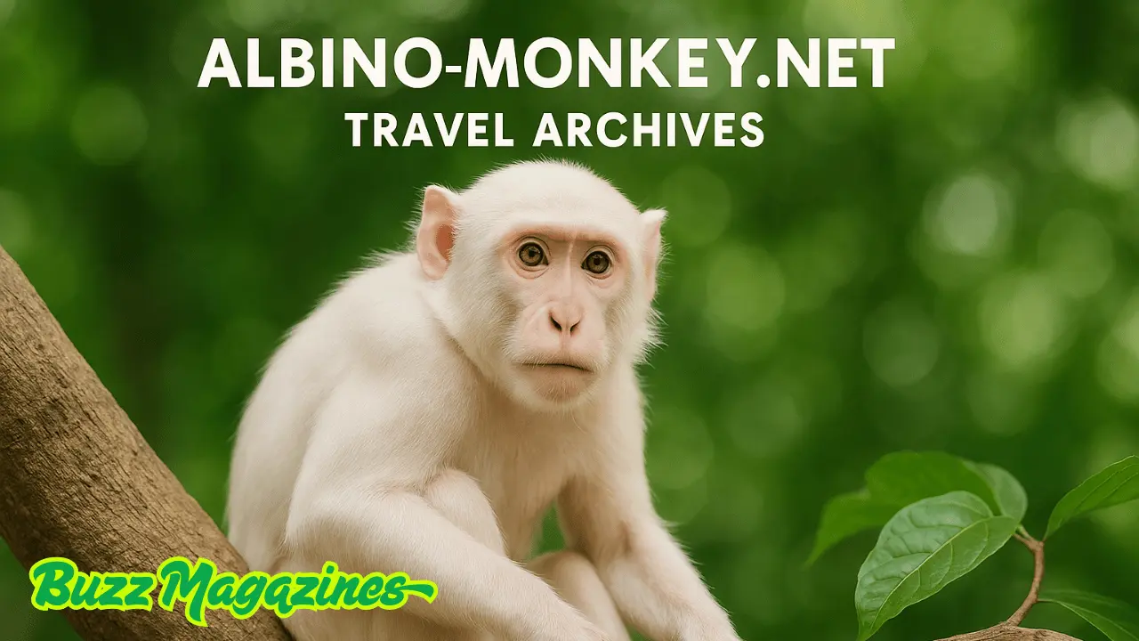 albino-monkey.net travel archives